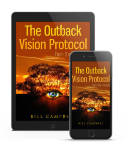 Outback Vision Protocol encompasses recipes and smoothies that enhance the eyesight and prevent any future disorder