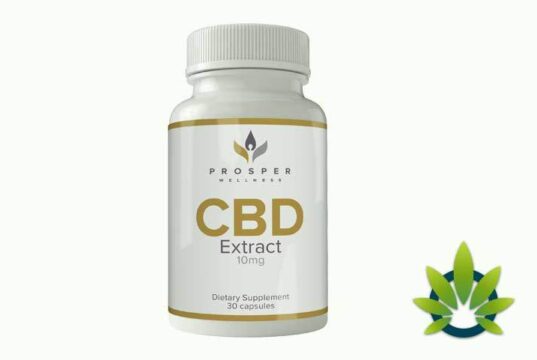 Prosper Wellness CBD eases stress