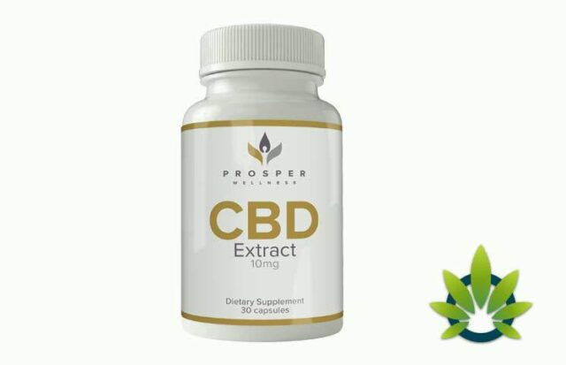 Prosper Wellness CBD eases stress