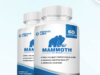 Mammoth is a male enhancement supplement