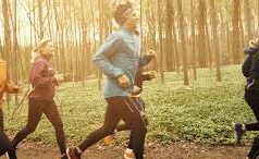 T3 Human Immune Support supports immune system