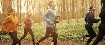 T3 Human Immune Support supports immune system