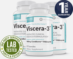 SANE Viscera-3 improves gut health