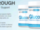 Gluconite is a blood sugar support supplement